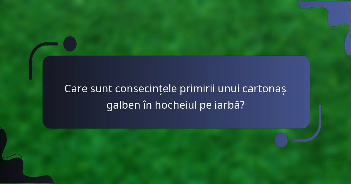 Care sunt consecințele primirii unui cartonaș galben în hocheiul pe iarbă?