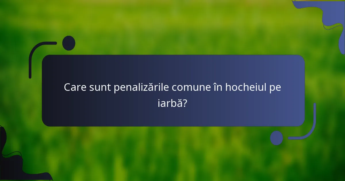 Care sunt penalizările comune în hocheiul pe iarbă?