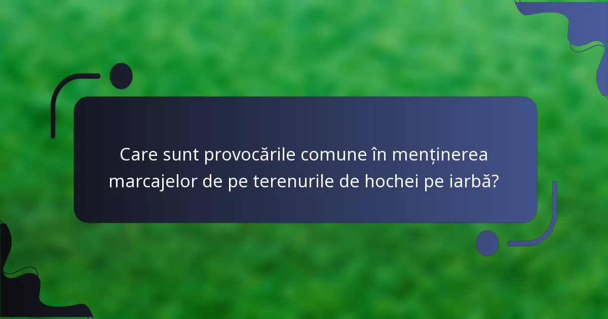 Care sunt provocările comune în menținerea marcajelor de pe terenurile de hochei pe iarbă?