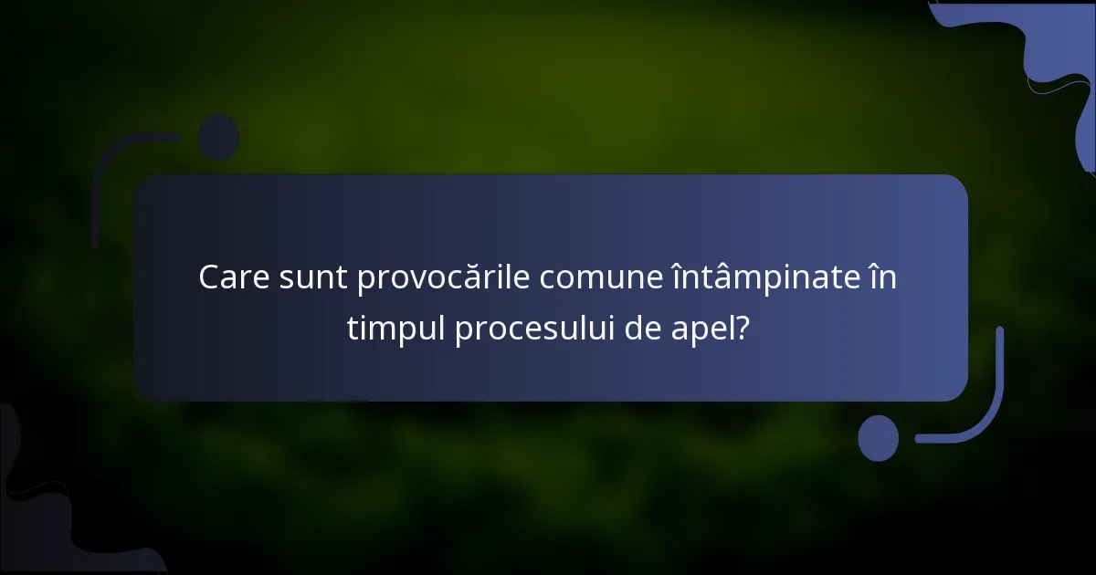 Care sunt provocările comune întâmpinate în timpul procesului de apel?