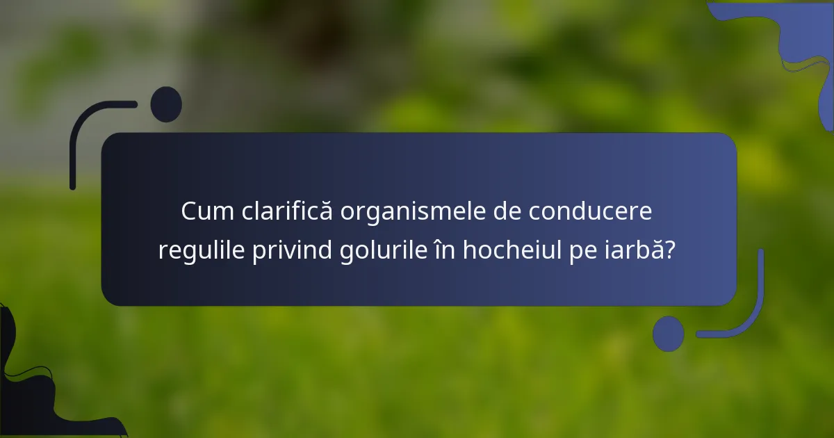 Cum clarifică organismele de conducere regulile privind golurile în hocheiul pe iarbă?