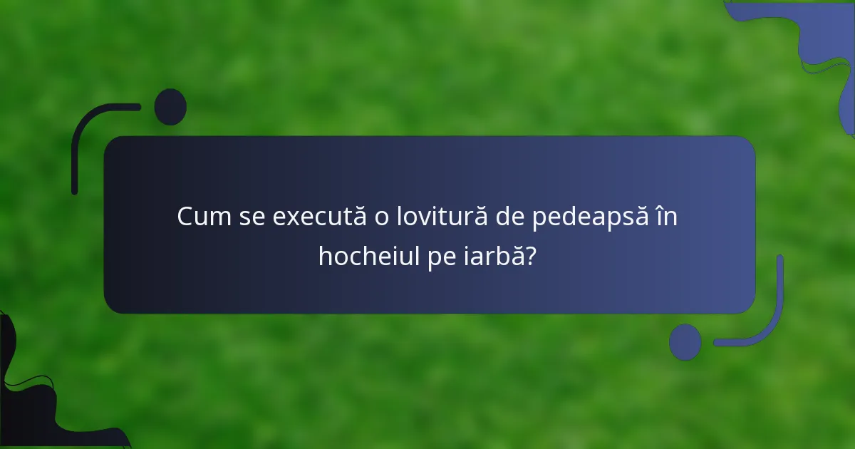 Cum se execută o lovitură de pedeapsă în hocheiul pe iarbă?